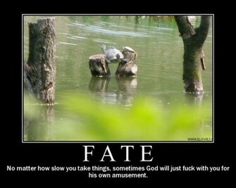 Fate Funny Pictures Quotes Pics Photos Image Videos Of Really