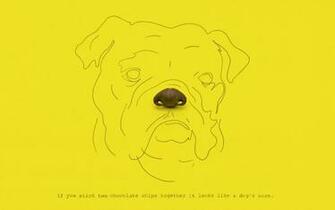 The Desktop Wallpaper Project Archive Fox Is Black Apps
