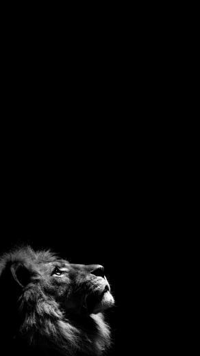 Woman Dog Street Dark iPhone Wallpaper Black