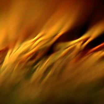 Abstract Paint Brush iPad Wallpaper Eliot S Pothole On The