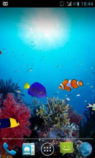 Fish Aquarium Live Wallpaper Now Watch Fishes Moving In As