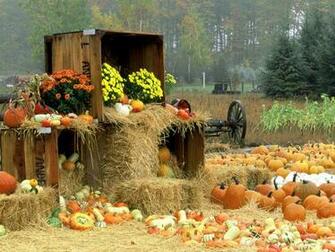 Autumn Roadside Manistee County Onekama Michigan