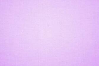 Lavender Or Light Purple