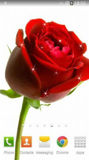 Rose Live Wallpaper Android Apps On Google Play