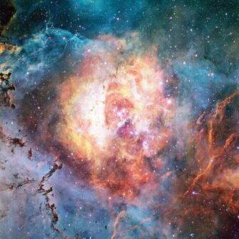 Pics Photos Wallpaper Cosmos