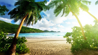 4k Tropical Wallpaper Background Image