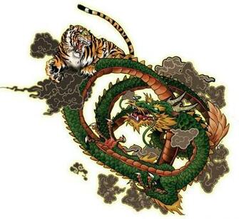 Dragon Vs Tiger Wallpaper By