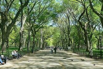 Central Park Spring Wallpaper
