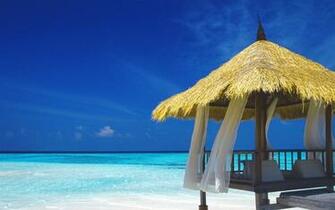 Home Wallpaper Hot Categories
