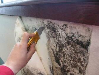 Drywall Water Damage Mold Floodtech Repair Orange