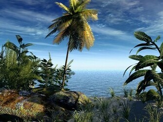 Best Amazing 3d Animated HD Wallpaper Techstop