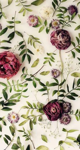 Wallpaper iPhone Image Floral