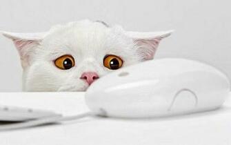 Cutest Wallpaper Dump Ever