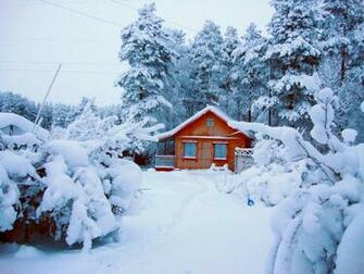 Rock Cabin Holiday Rental Charming Very Private Mountain
