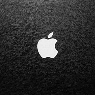 iPad Wallpaper Classic Apple Logo Mini