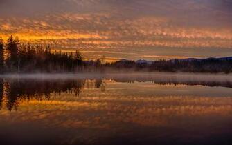 Dawn Morning Mist Reflection Forest Lake Wallpaper Background