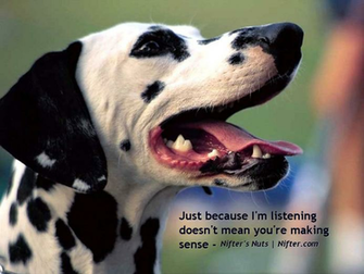Funny Animals Wallpaper Animal Pictures With Captions