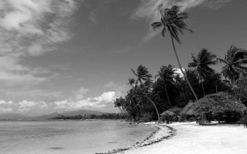 Black And White Wallpaper Beach