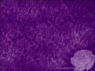 Purple Rose Flower Background Eyes