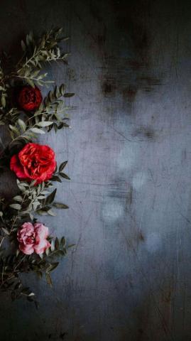 Flower Phone Home Screen 4k Wallpaper