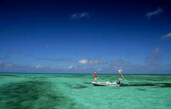 Flats Fishing Wallpaper Saltwater Fly