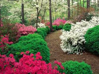 Garden Wallpaper Pic Gallery