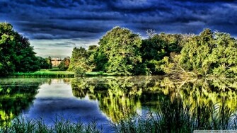 Pond Wallpaper