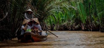 Visit Mekong Delta Vietnam The Stupid Bear