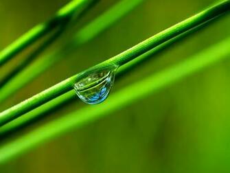 Nature Wallpaper Pack