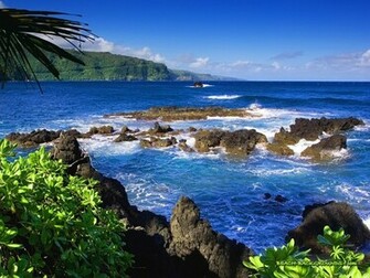 Beach Scene Wallpaper Fancy