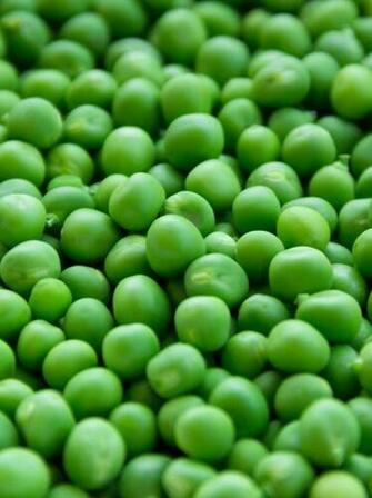 Fresh Peas Wallpaper iPhone Android Desktop Background