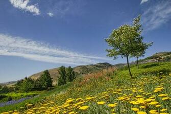 Salt Lake City Utah A Botanical Garden Wallpaper Landscapes