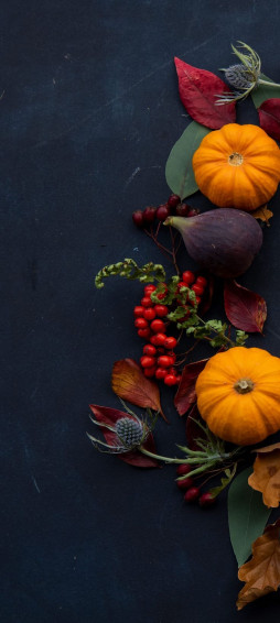 New Super Cute Fall Wallpaper For iPhone Pro Max