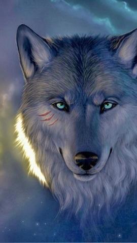 Lobo Wallpaper For Your Desktop