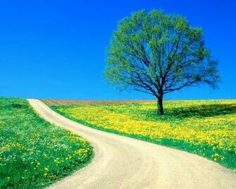 Spring Road Desktop Pc And Mac Wallpaper