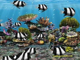 Moving Three Stripe Damselfish Screensaver And Wallpaper
