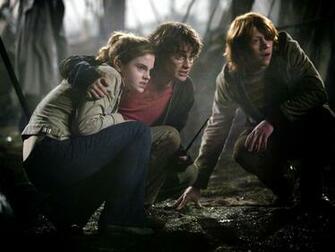 Harry Ron And Hermione Wallpaper