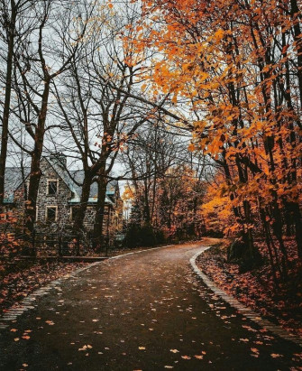 Autumn Cozy Aesthetics Scenery Fall Pictures