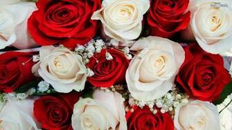 Flowers Roses Wallpaper White Rose Wedding Beautiful
