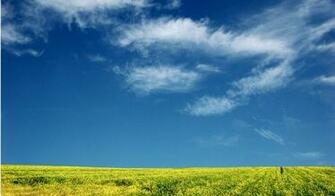 Wallpaper Picswallpaper