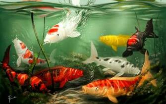 Koi Rich HD Desktop Wallpaper Animal
