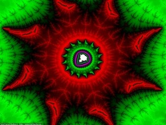 Cute Background And Wallpaper Amazing Colorful