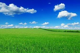 Office Cube Wallpaper