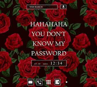 Rose Wallpaper You Don T Know My Password Theme Android