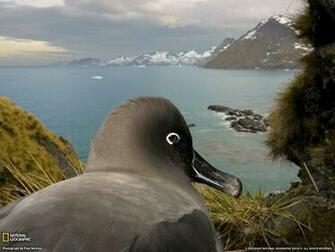 National Geographic Daily Photos Magazine
