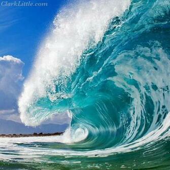 Clark Little Photography