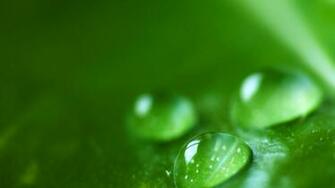 Super High Detail Water Droplets