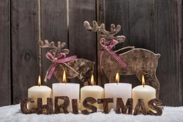 Christmas Reindeer 4k Ultra HD Wallpaper Background Image