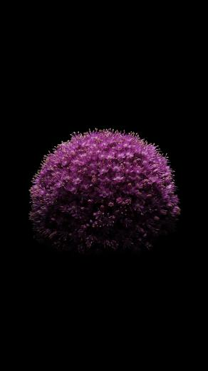 Apple iPhone Wallpaper With Ios Dark Background And Purple