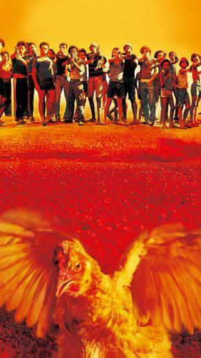 City Of God Phone Wallpaper Crime Movies